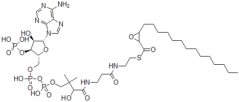 CAS 登录号:92142-38-6, 2-十四烷基缩水甘油基辅酶 A