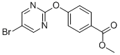 CAS 登录号：926304-76-9， 4-[(5-溴-2-嘧啶基)氧基]-苯甲酸甲酯