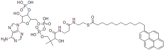 CAS#: 93255-33-5, Pyrenedodecanoyl-Coenzyme A