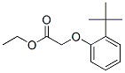 CAS#: 93893-53-9, Ethyl [2-(1,1-Dimethylethyl)Phenoxy]Acetate