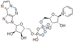 CAS 登录号:94516-25-3, 吡啶 1,N(6)-乙烯桥腺嘌呤二核苷酸
