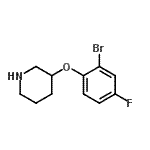 CAS 登录号：954225-29-7， 3-(2-溴-4-氟苯氧基)哌啶