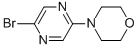 CAS#: 955050-08-5, 4-(5-Bromo-2-Pyrazinyl)-Morpholine