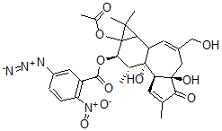 CAS 登录号:96657-96-4, 12-O-(5-叠氮基-2-硝基苯甲酰基佛波醇)-13-乙酸酯