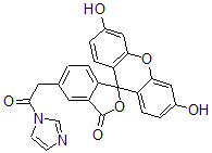 CAS 登录号:97068-28-5, 荧光素 N-乙酰基咪唑
