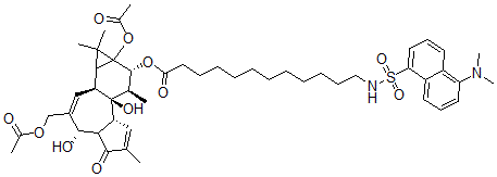 CAS 登录号:98897-16-6, 12-O-(12(N)-丹磺酰氨基月桂酰基)佛波醇 12,20-二乙酸酯