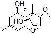 CAS 登录号：99624-08-5， 7-羟基木霉醇