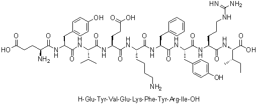L-alpha-谷氨酰-L-酪氨酰-L-缬氨酰-L-alpha-谷氨酰-L-赖氨酰-L-苯丙氨酰-L-酪氨酰-L-精氨酰-L-异亮氨酸分子结构 (CAS 1000283-48-6)