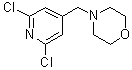 4-[(2,6-二氯-4-吡啶基)甲基]吗啉分子结构 (CAS 1015844-22-0)