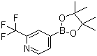 2-三氟甲基吡啶-4-硼酸频哪醇酯分子结构 (CAS 1036990-42-7)