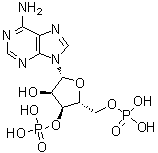 腺苷 3',5'-二磷酸酯分子结构 (CAS 1053-73-2)