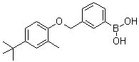 [3-[[4-(1,1-Dimethylethyl)-2-methylphenoxy]methyl]phenyl]boronic acid molecular structure (CAS 1072951-66-6)