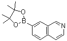 7-(4,4,5,5-四甲基-1,3,2-二氧硼杂环戊烷-2-基)异喹啉分子结构 (CAS 1082947-07-6)