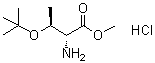 O-(叔丁基)-D-苏氨酸甲酯盐酸盐分子结构 (CAS 115141-43-0)