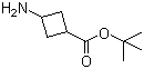 3-氨基环丁酸叔丁酯分子结构 (CAS 1173205-83-8)