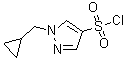 1-(环丙基甲基)-1H-吡唑-4-磺酰氯分子结构 (CAS 1178919-63-5)