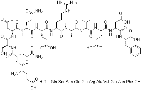 L-alpha-Glutamyl-L-glutaminyl-L-seryl-L-alpha-aspartyl-L-glutaminyl-L-alpha-glutamyl-L-arginyl-L-alanyl-L-valyl-L-alpha-glutamyl-L-alpha-aspartyl-L-phenylalanine molecular structure (CAS 1188513-21-4)