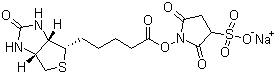 生物素-N-羟基琥珀酰亚胺酯-3-磺酸钠盐分子结构 (CAS 119616-38-5)