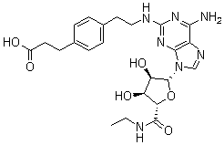 CGS 21680分子结构 (CAS 120225-54-9)