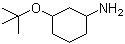 3-(叔丁氧基)环己胺分子结构 (CAS 1211592-87-8)