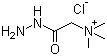 Girard's Reagent T molecular structure (CAS 123-46-6)