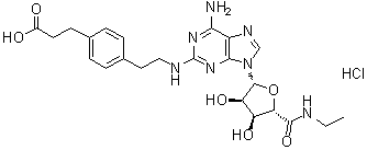CGS 21680 hydrochloride分子结构 (CAS 124431-80-7)