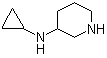 N-环丙基-3-哌啶胺分子结构 (CAS 1251083-96-1)