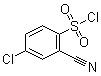4-氯-2-氰基苯磺酰氯分子结构 (CAS 1251087-10-1)