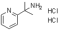 alpha,alpha-Dimethyl-2-pyridinemethanamine dihydrochloride molecular structure (CAS 1256633-17-6)