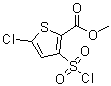5-氯-3-(氯磺酰基)-2-噻吩羧酸甲酯分子结构 (CAS 126910-68-7)