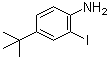 2-碘-4-叔丁基苯胺分子结构 (CAS 128318-63-8)