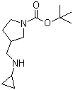 3-[(Cyclopropylamino)methyl]-1-pyrrolidinecarboxylic acid tert-butyl ester molecular structure (CAS 1289387-40-1)