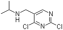 2,4-二氯-N-(1-甲基乙基)-5-嘧啶甲胺分子结构 (CAS 1289387-95-6)