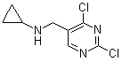 2,4-二氯-N-环丙基-5-嘧啶甲胺分子结构 (CAS 1289388-21-1)