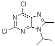 2,6-二氯-8-甲基-9-(1-甲基乙基)-9H-嘌呤分子结构 (CAS 1313026-86-6)