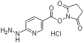 6-肼基烟酸琥珀酰亚胺酯盐酸盐分子结构 (CAS 133081-27-3)