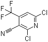 3-氰基-2,6-二氯-4-(三氟甲基)吡啶分子结构 (CAS 13600-42-5)