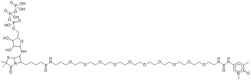 生物素-16-脱氧尿苷三磷酸分子结构 (CAS 136632-31-0)