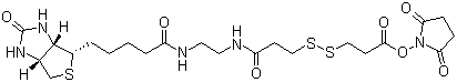 3-[3-[2-(生物素酰胺)乙基]氨基-3-氧代丙基]二硫基]丙酸琥珀酰亚胺酯分子结构 (CAS 142439-92-7)