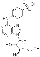 4-[(9-beta-D-呋喃核糖基-9H-嘌呤-6-基)氨基]苯磺酸分子结构 (CAS 143668-15-9)