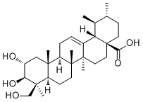 2,24-二羟基熊果酸分子结构 (CAS 143839-02-5)