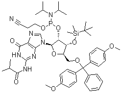 5'-O-[Bis(4-methoxyphenyl)phenylmethyl]-3'-O-[(1,1-dimethylethyl)dimethylsilyl]-N-(2-methyl-1-oxopropyl)-guanosine 2'-[2-cyanoethyl N,N-bis(1-methylethyl)phosphoramidite] molecular structure (CAS 1445905-51-0)