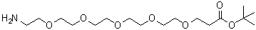 18-氨基-4,7,10,13,16-五氧杂十八烷酸叔丁酯分子结构 (CAS 1446282-18-3)