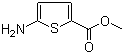 5-Aminothiophene-2-carboxylic acid methyl ester molecular structure (CAS 14597-58-1)