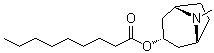 Tropine nonanoate molecular structure (CAS 146018-90-8)