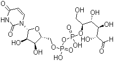 尿苷-5'-二磷酸葡萄糖分子结构 (CAS 152697-45-5)