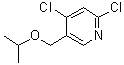 2,4-Dichloro-5-[(1-methylethoxy)methyl]pyridine molecular structure (CAS 1602518-20-6)