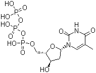 2'-脱氧胸苷 5'-三磷酸分子结构 (CAS 18423-43-3)
