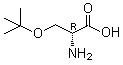 O-(叔丁基)-D-丝氨酸分子结构 (CAS 18783-53-4)