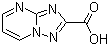 [1,2,4]三唑并[1,5-a]嘧啶-2-羧酸分子结构 (CAS 202065-25-6)